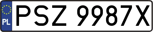 PSZ9987X