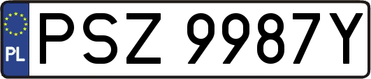 PSZ9987Y
