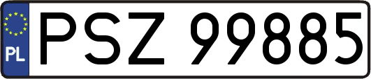 PSZ99885