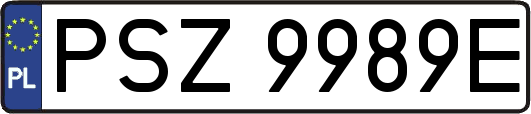 PSZ9989E