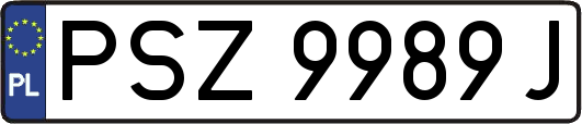 PSZ9989J
