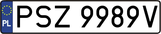 PSZ9989V