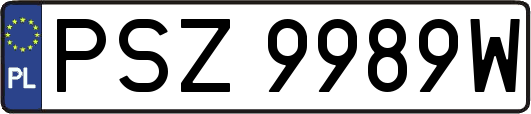 PSZ9989W
