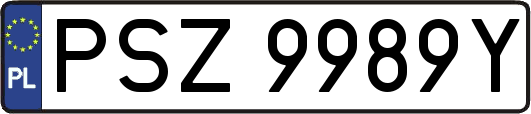PSZ9989Y