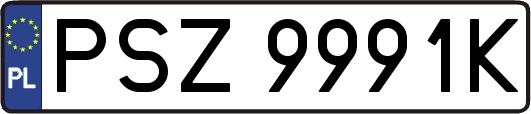 PSZ9991K