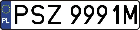 PSZ9991M