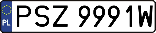PSZ9991W