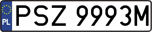 PSZ9993M