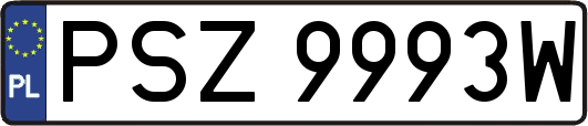 PSZ9993W