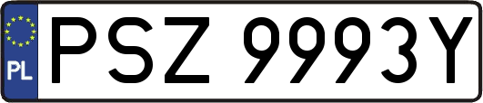 PSZ9993Y