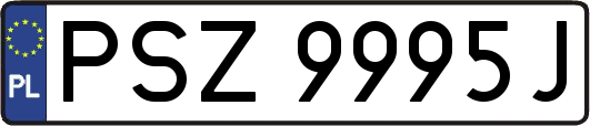 PSZ9995J