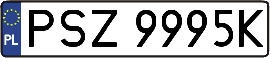 PSZ9995K
