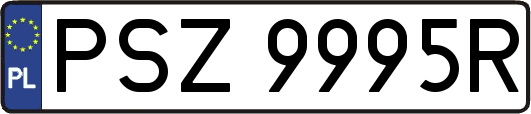 PSZ9995R