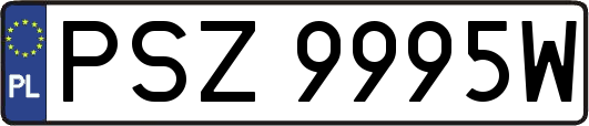 PSZ9995W