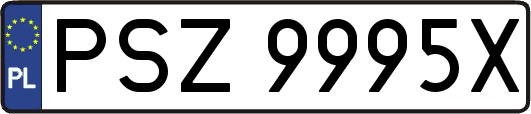 PSZ9995X
