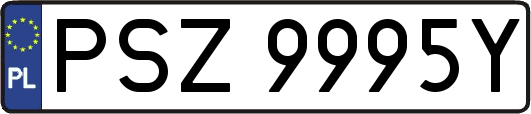PSZ9995Y