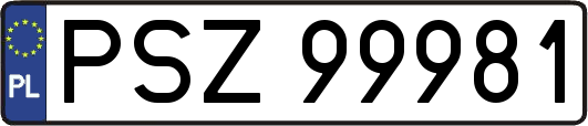 PSZ99981