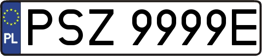 PSZ9999E