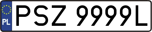 PSZ9999L