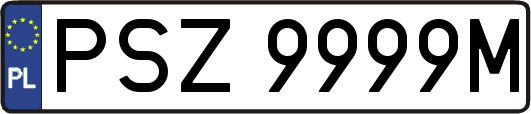 PSZ9999M