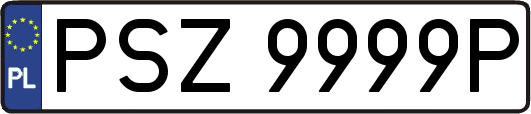 PSZ9999P