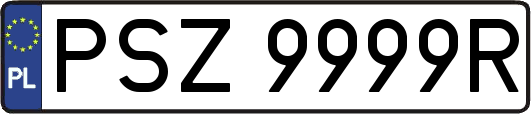PSZ9999R