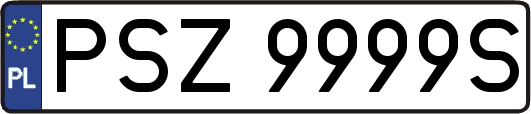 PSZ9999S