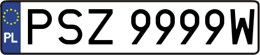 PSZ9999W