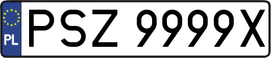 PSZ9999X