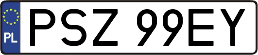 PSZ99EY