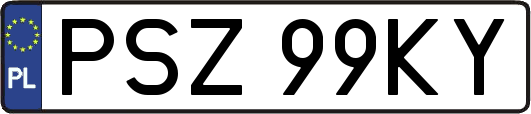 PSZ99KY