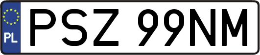 PSZ99NM