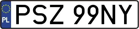 PSZ99NY