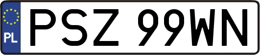 PSZ99WN