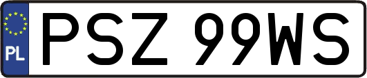 PSZ99WS