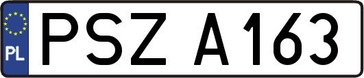 PSZA163