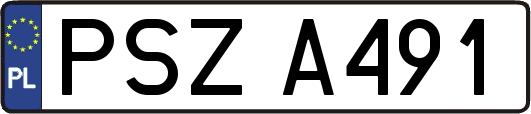 PSZA491