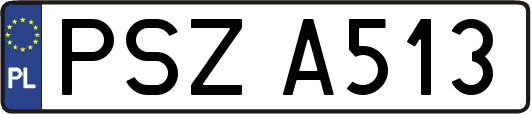 PSZA513