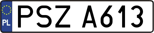 PSZA613