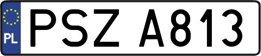 PSZA813