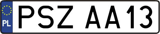 PSZAA13