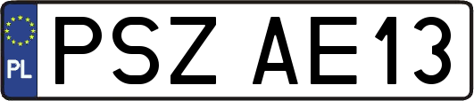 PSZAE13