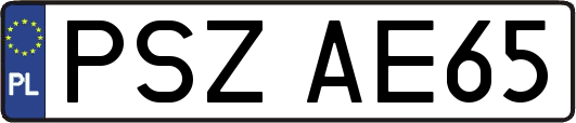 PSZAE65