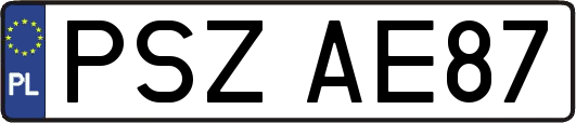PSZAE87