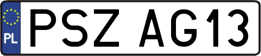 PSZAG13
