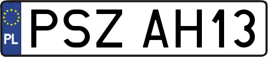 PSZAH13