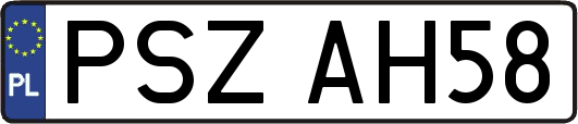 PSZAH58