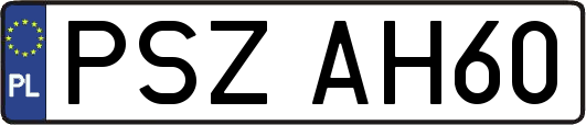 PSZAH60