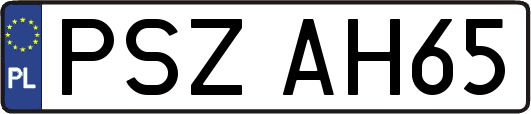 PSZAH65