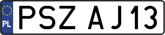 PSZAJ13